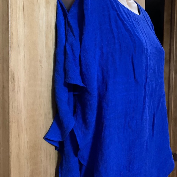 Blue Blouse - Picture 4 of 7